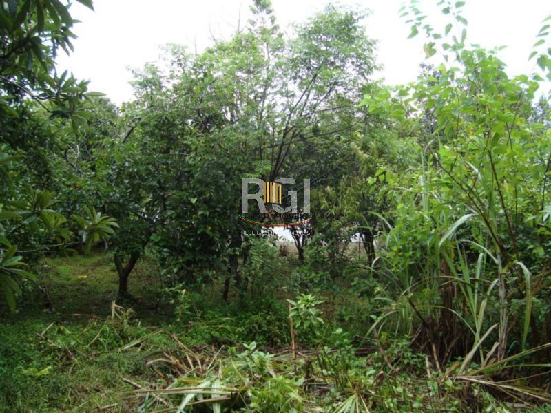 Terreno para Venda - 850m², 0 dormitórios, Centro