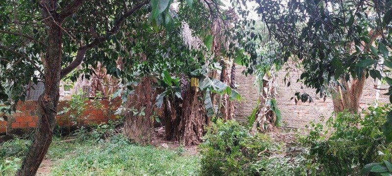 Terreno no bairro Nossa Senhora das Graças