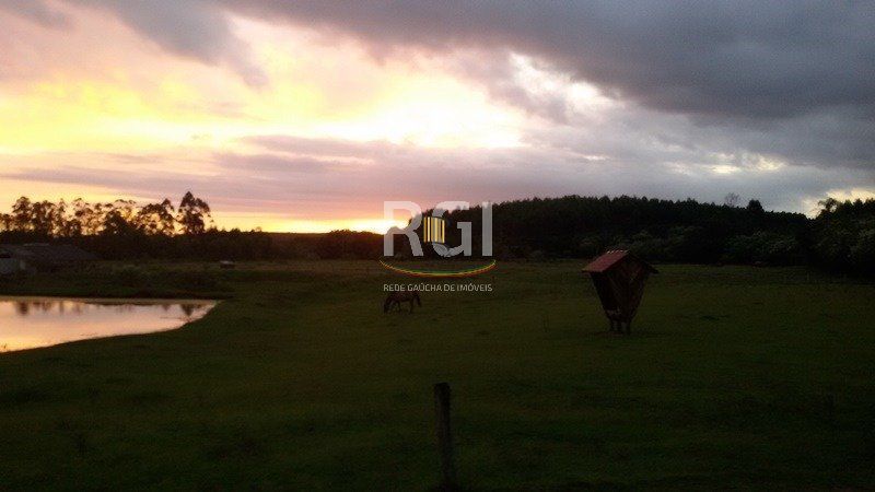 Sítio para Venda - 83000m², 3 dormitórios, 1 vaga - Olaria - Pilar Imóveis