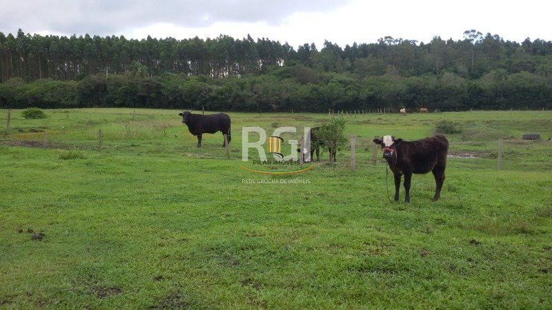 Sítio para Venda - 83000m², 3 dormitórios, 1 vaga - Olaria