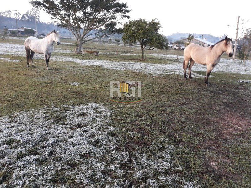 Sítio para Venda - 83000m², 3 dormitórios, 1 vaga - Olaria