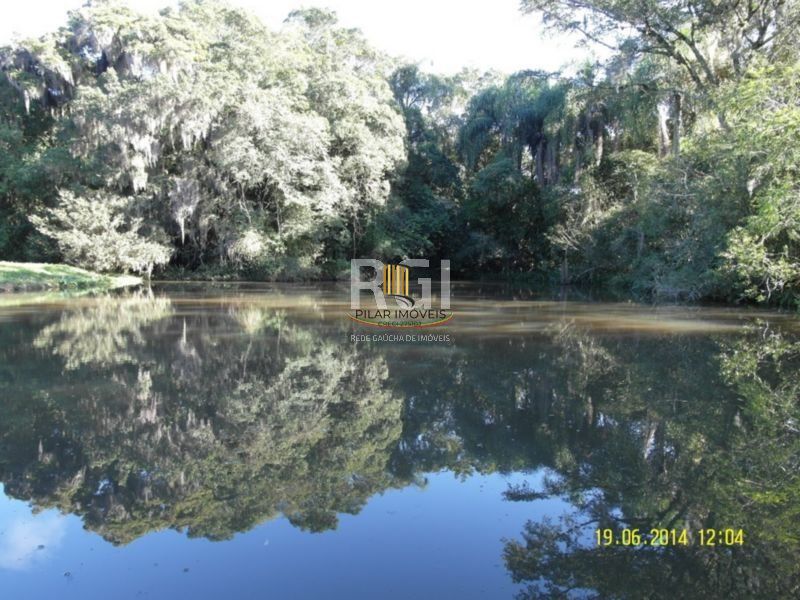 Area para Venda - 35000m², 0 dormitórios, Centro