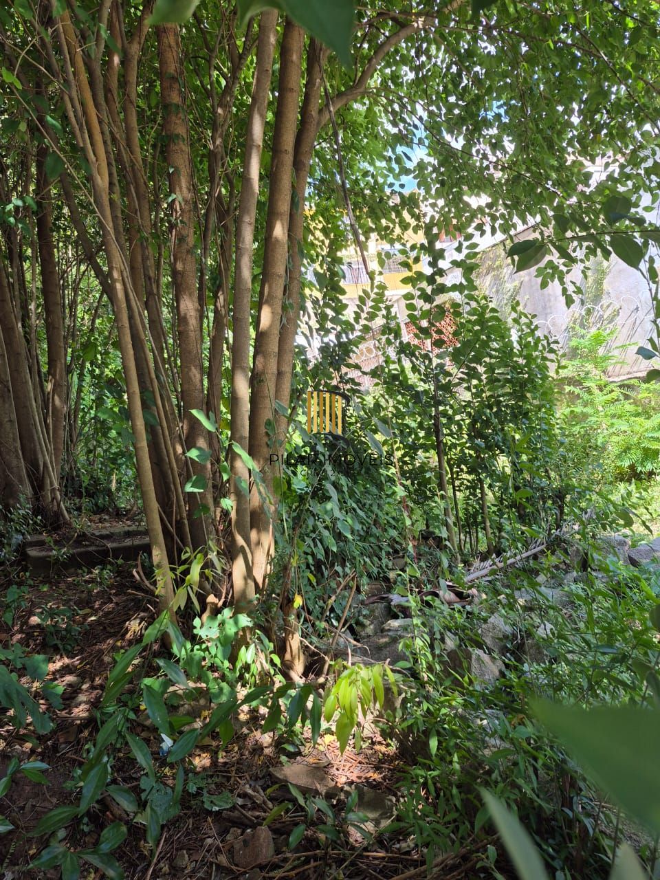 📍 EXCELENTE OPORTUNIDADE DE TERRENO – LOCALIZAÇÃO ESTRATÉGICA!