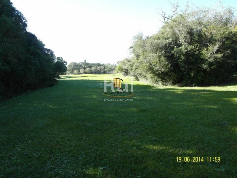 Area para Venda - 35000m², 0 dormitórios, Centro
