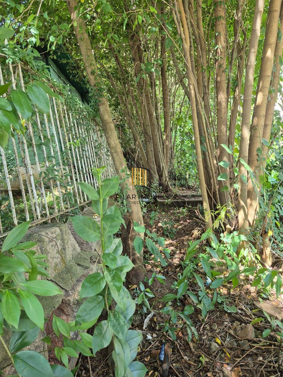 📍 EXCELENTE OPORTUNIDADE DE TERRENO – LOCALIZAÇÃO ESTRATÉGICA!