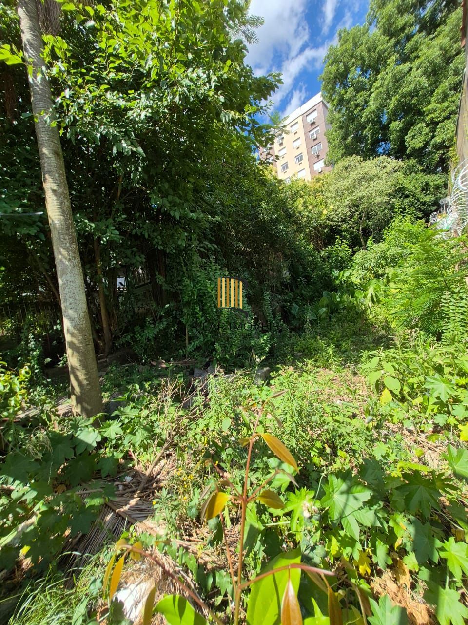 📍 EXCELENTE OPORTUNIDADE DE TERRENO – LOCALIZAÇÃO ESTRATÉGICA!