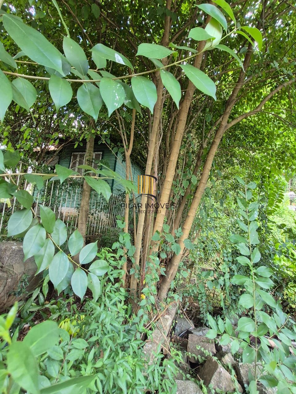 📍 EXCELENTE OPORTUNIDADE DE TERRENO – LOCALIZAÇÃO ESTRATÉGICA!