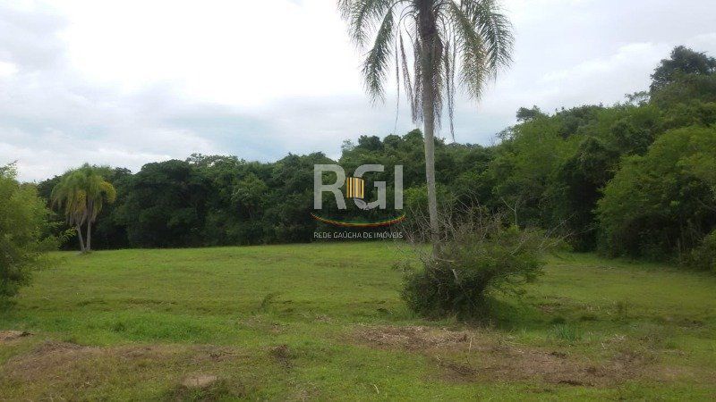 Sítio para Venda - 83000m², 3 dormitórios, 1 vaga - Olaria
