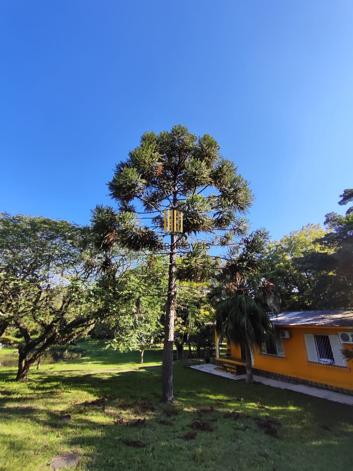 🌳🏡 EXCELENTE CHÁCARA À VENDA EM BELÉM VELHO – PORTO ALEGRE/RS