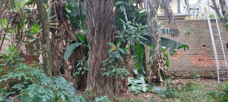 Terreno no bairro Nossa Senhora das Graças