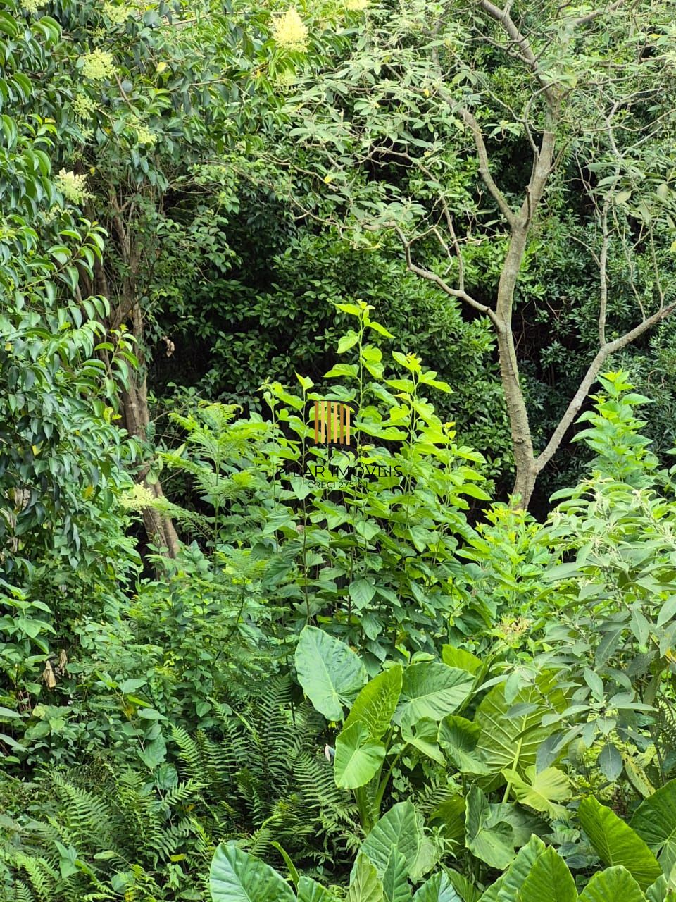 📍 EXCELENTE OPORTUNIDADE DE TERRENO – LOCALIZAÇÃO ESTRATÉGICA!