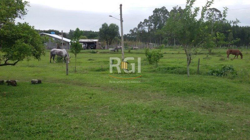 Sítio para Venda - 83000m², 3 dormitórios, 1 vaga - Olaria