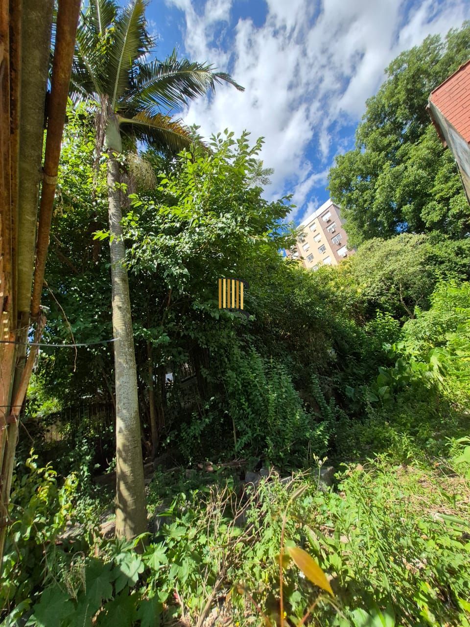 📍 EXCELENTE OPORTUNIDADE DE TERRENO – LOCALIZAÇÃO ESTRATÉGICA!