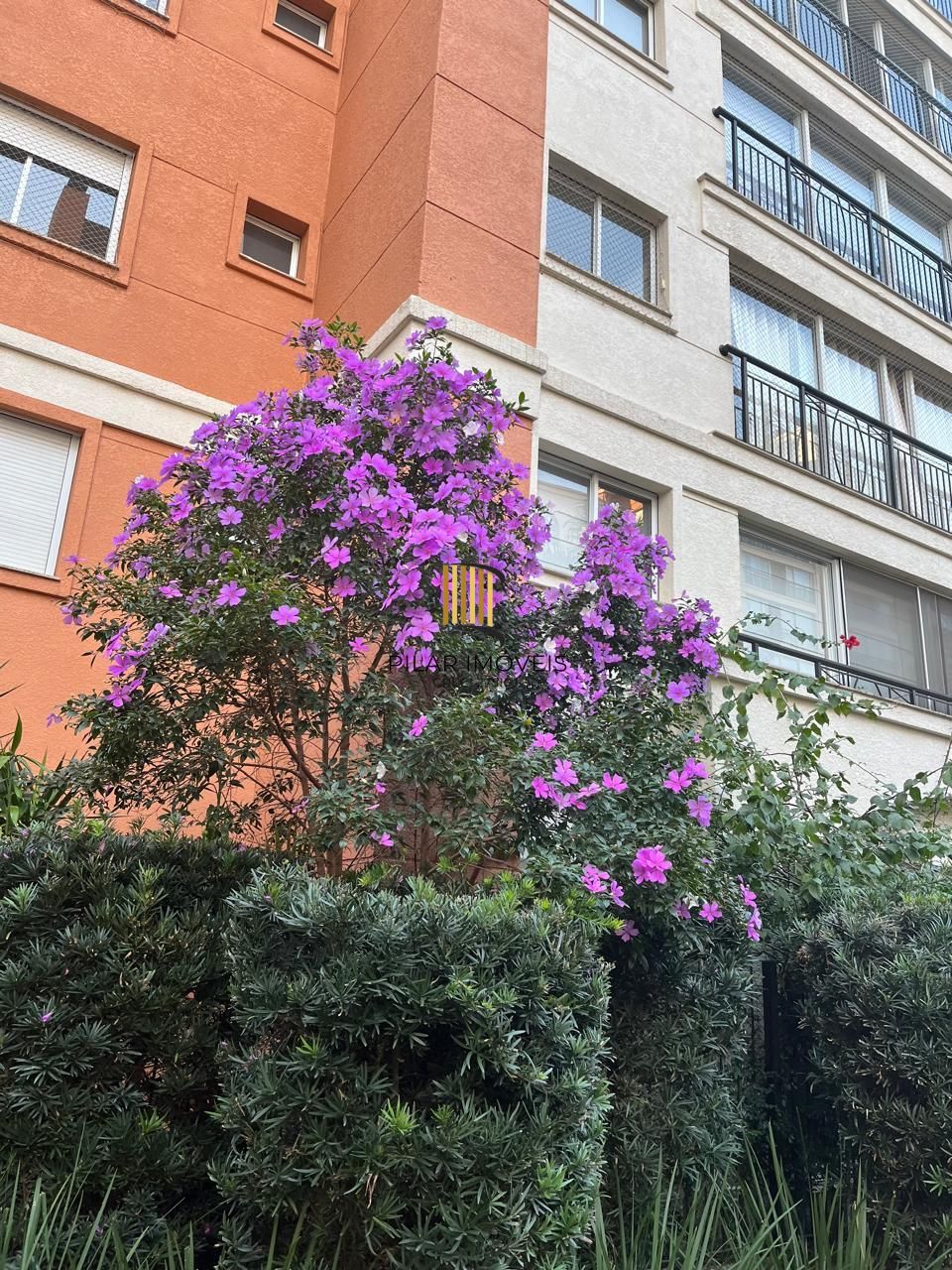 Apartamento 4 Dormitório(s) Bairro Jardim Europa