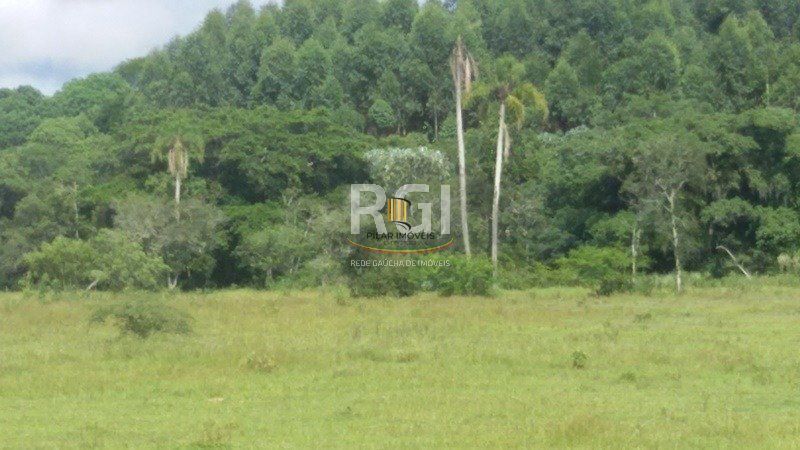 Sítio para Venda - 83000m², 3 dormitórios, 1 vaga - Olaria