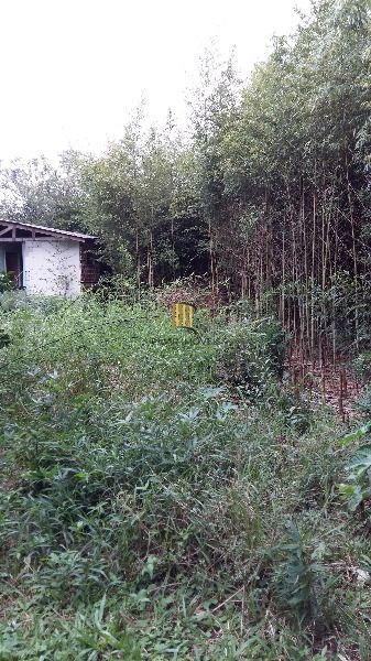 Area para Venda - 50m², Guarujá