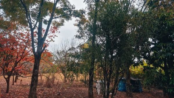 Area em Porto Alegre, no bairro Restinga, à venda.