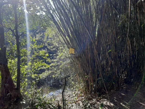 Sítio para Venda - 200m², 3 dormitórios, 4 vagas - Lami