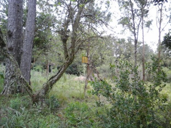 Terreno no bairro Belém Velho