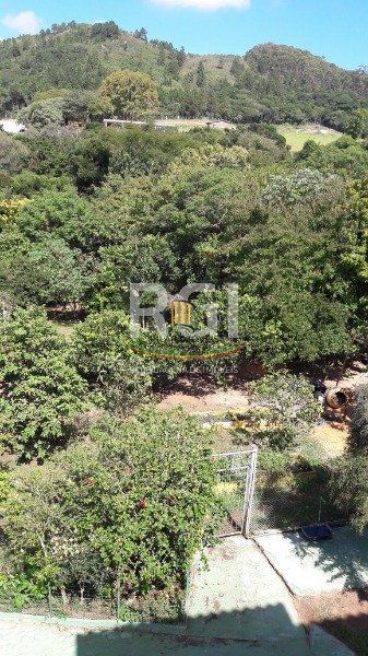 Sítio para Venda - 246m², 3 dormitórios, sendo 2 suites, 6 vagas - Vila Nova