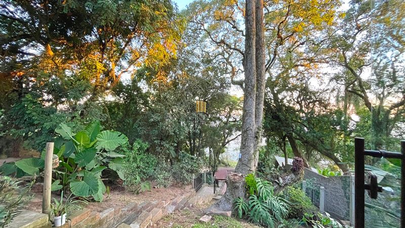 Casa 2 dormitórios no bairro Belém Novo