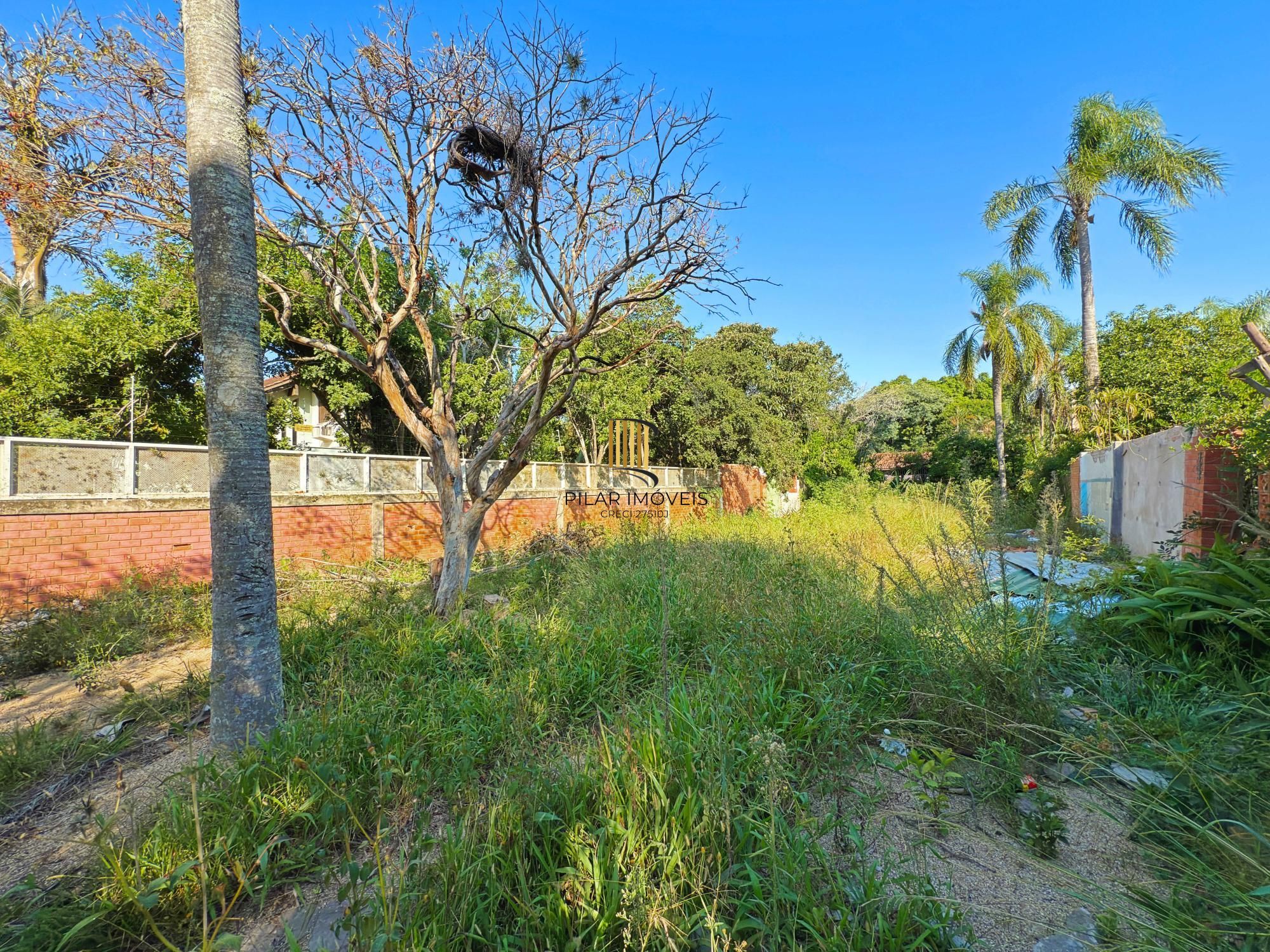 Terreno no bairro Ipanema