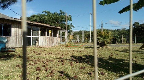 Terreno para Venda - 0m², 0 dormitórios, Lageado