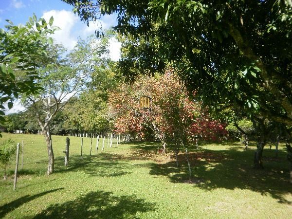 Sítio para Venda - 120000m², 3 dormitórios, Lami