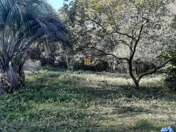 Sítio para Venda - 200m², 3 dormitórios, 4 vagas - Lami