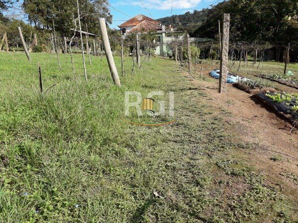Sítio para Venda - 6396m², 0 dormitórios, Vila Nova