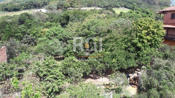 Sítio para Venda - 246m², 3 dormitórios, sendo 2 suites, 6 vagas - Vila Nova