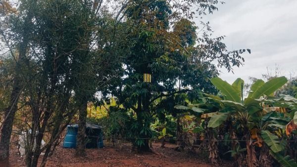 Area em Porto Alegre, no bairro Restinga, à venda.