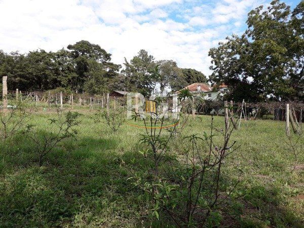 Sítio para Venda - 6396m², 0 dormitórios, Vila Nova