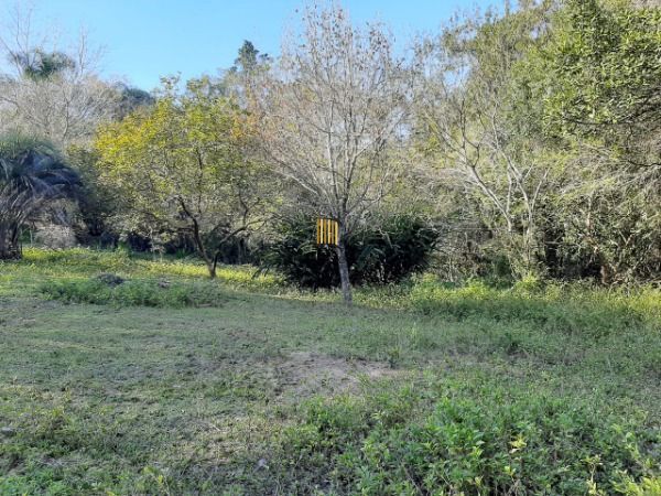 Sítio para Venda - 200m², 3 dormitórios, 4 vagas - Lami