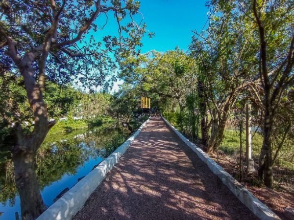 Sítio para Venda - 190m², 4 dormitórios, sendo 2 suites, 2 vagas - Lageado