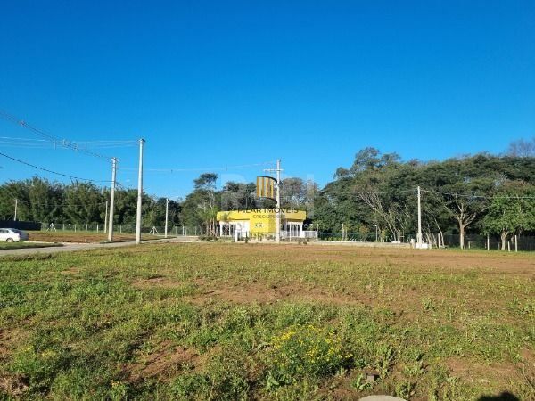 Terreno para Venda - 0m², 0 dormitórios, Campo Novo