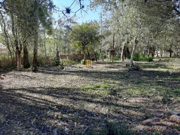 Sítio para Venda - 200m², 3 dormitórios, 4 vagas - Lami
