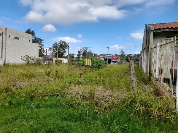 Terreno para Venda - 0m², 0 dormitórios, Hípica - Pilar Imóveis