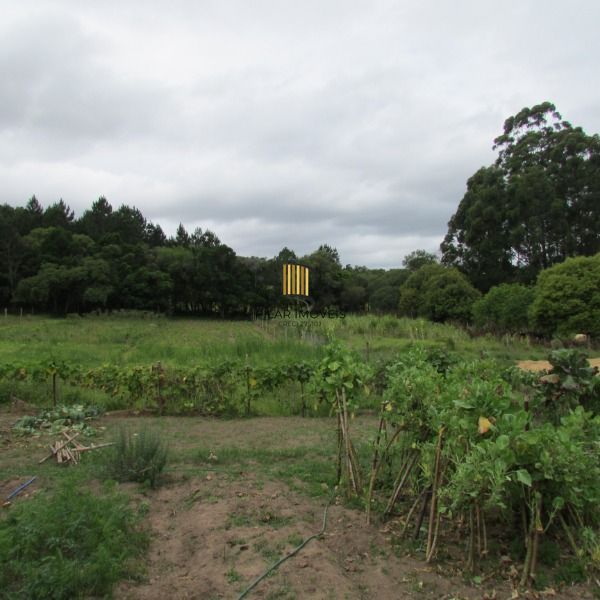 Sítio para Venda - 30000m², 3 dormitórios, sendo 1 suites, Lageado