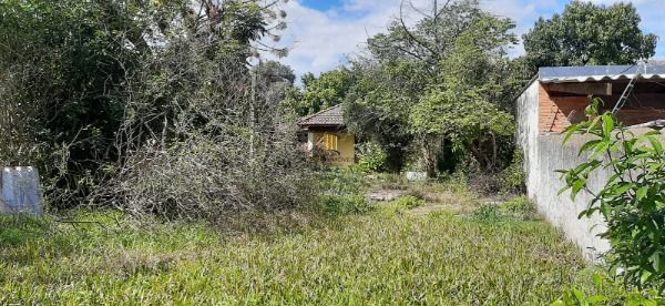 Terreno para Venda - 0m², 0 dormitórios, Ipanema