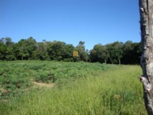 Terreno para Venda - 0m², 0 dormitórios, Chapéu do Sol