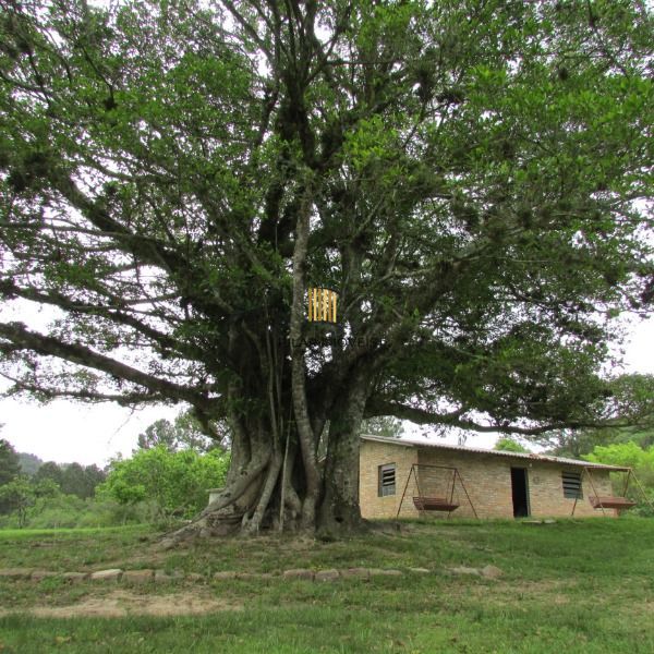 Sítio para Venda - 30000m², 3 dormitórios, sendo 1 suites, Lageado
