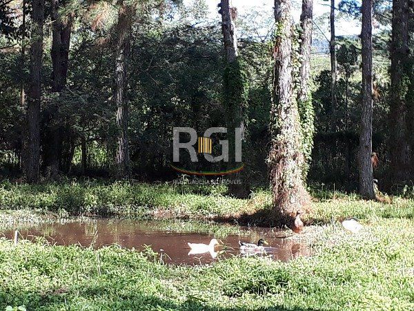 Sítio para Venda - 364m², 3 dormitórios, sendo 1 suites, 2 vagas - São Caetano