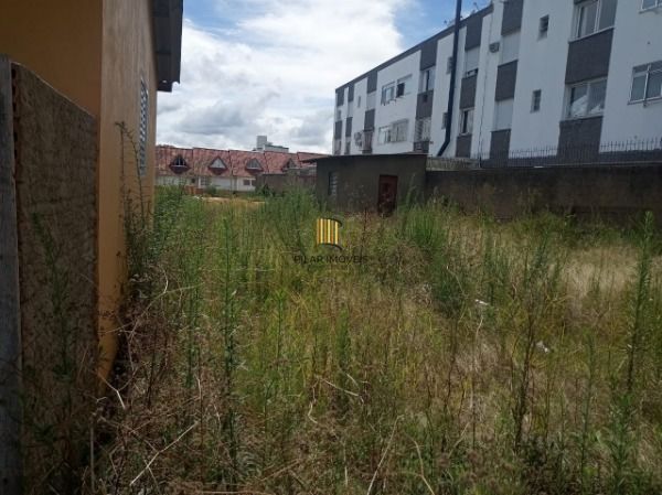 Terreno para Venda - 0m², 0 dormitórios, Camaquã