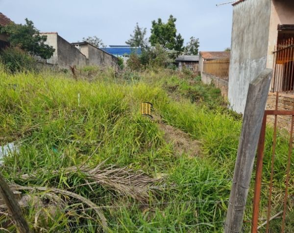 Terreno para Venda - 0m², 0 dormitórios, Tristeza