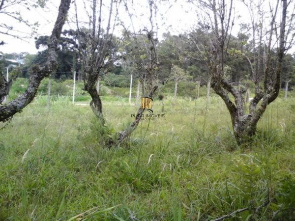 Terreno no bairro Belém Velho