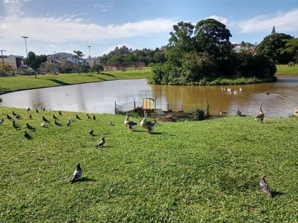 Casa 3 dormitórios no bairro Aberta dos Morros