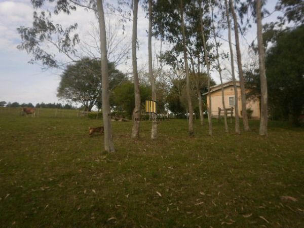 Sítio para Venda - 120000m², 3 dormitórios, Lami