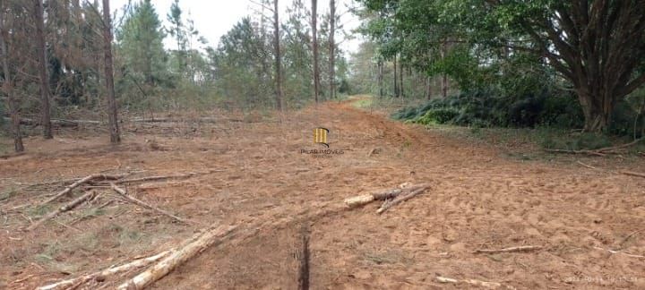 Terreno no bairro Águas Claras