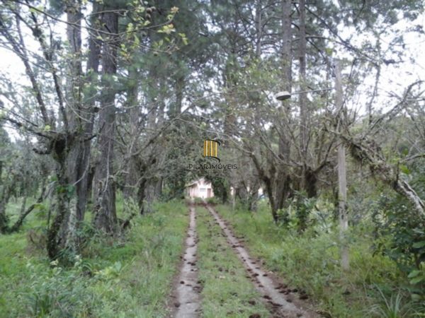 Terreno no bairro Belém Velho